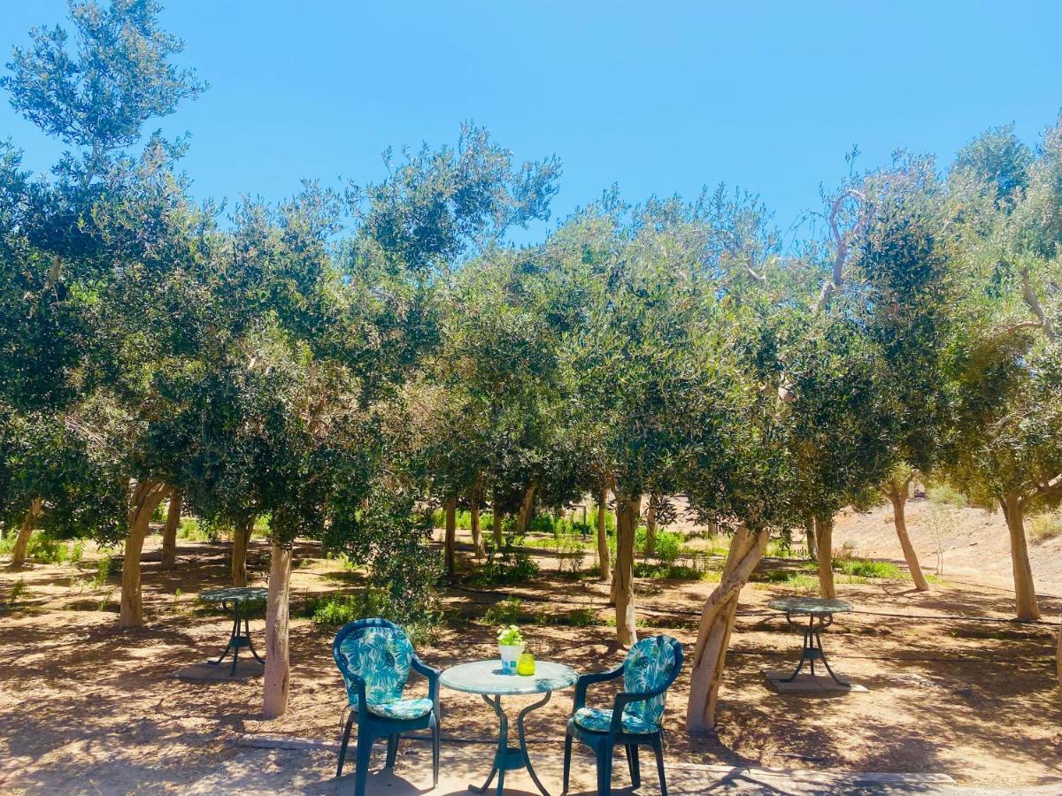 Olive Bungalow Gran Tarajal Exterior photo
